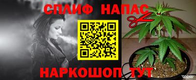 a pvp Пугачёв
